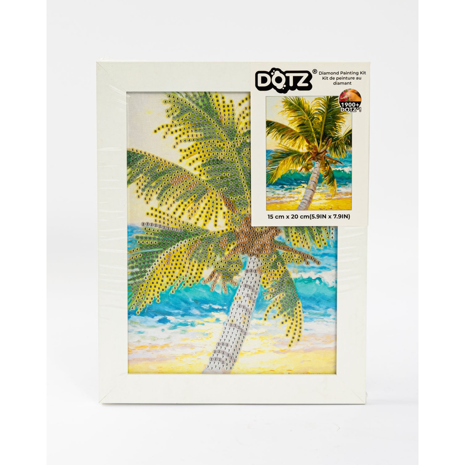 Palm Tree