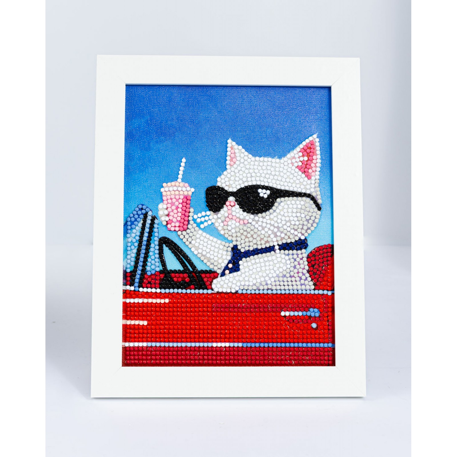 Convertible Cat