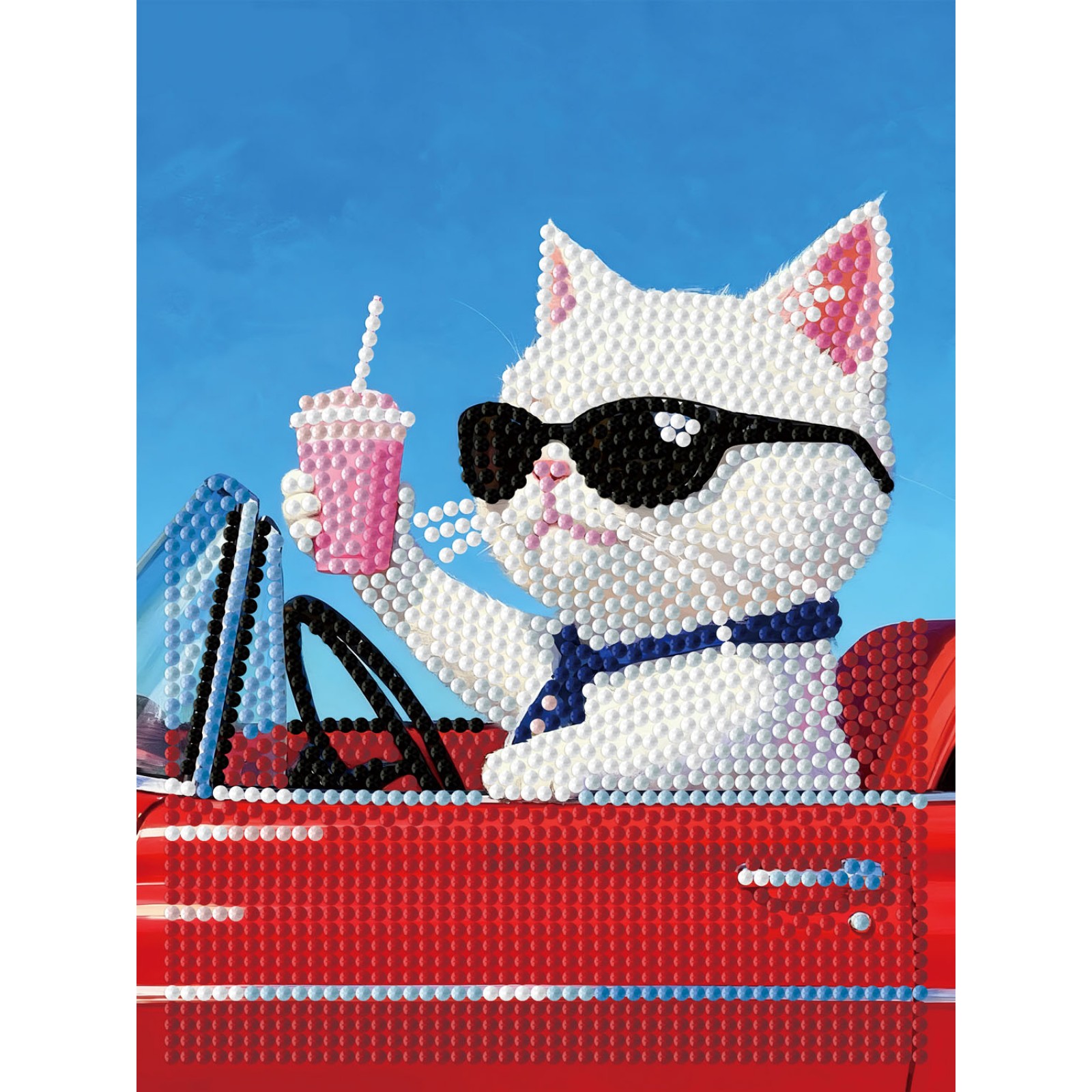 Convertible Cat