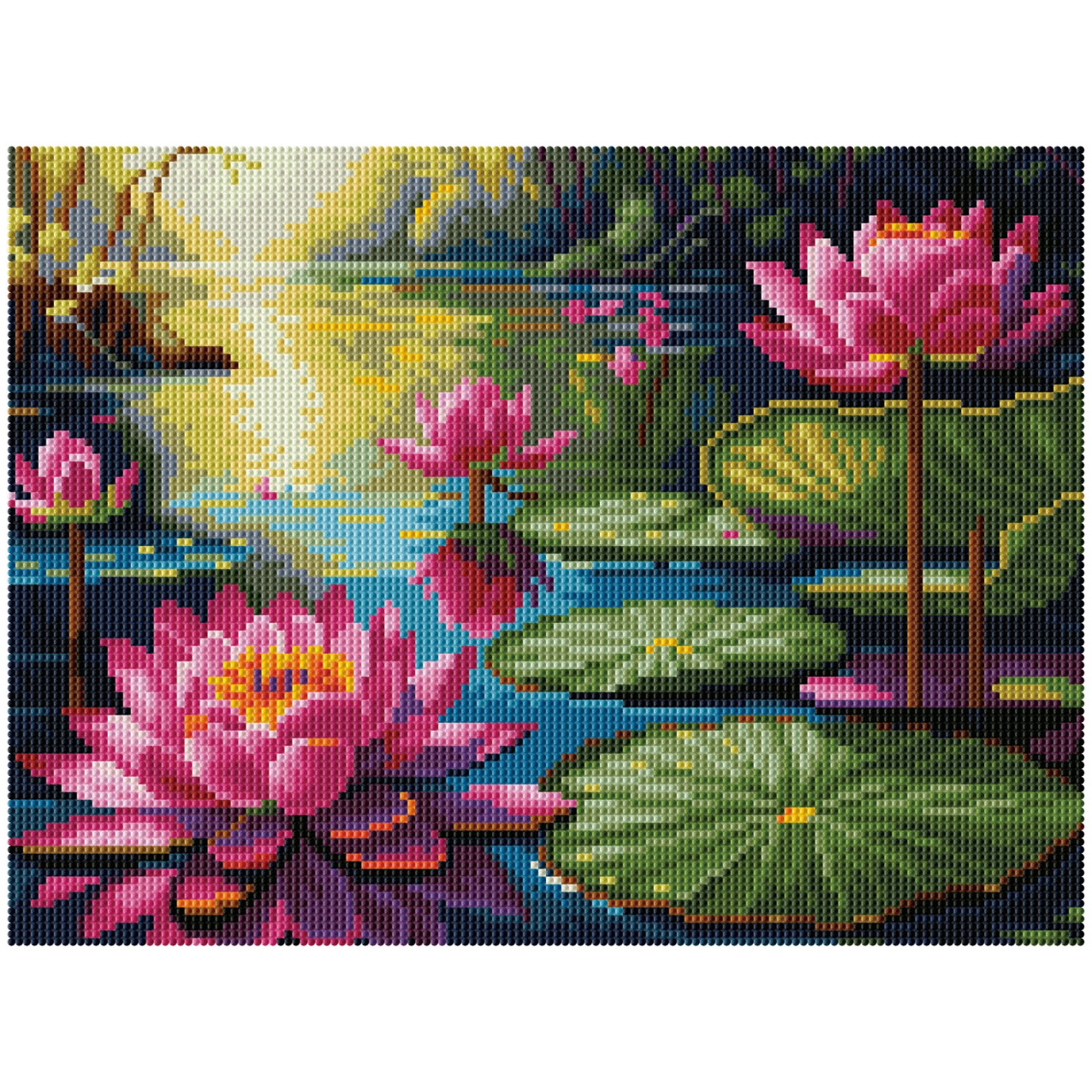 Lilly Lagoon