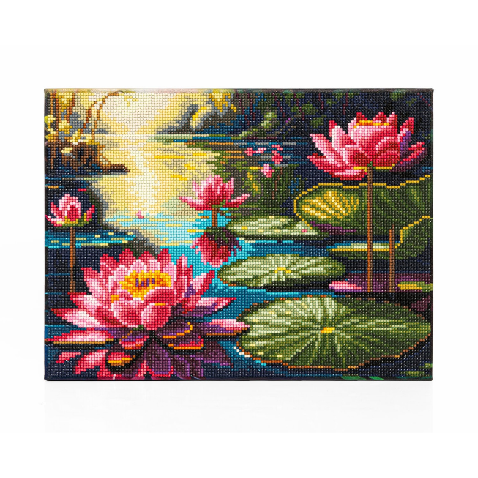 Lilly Lagoon