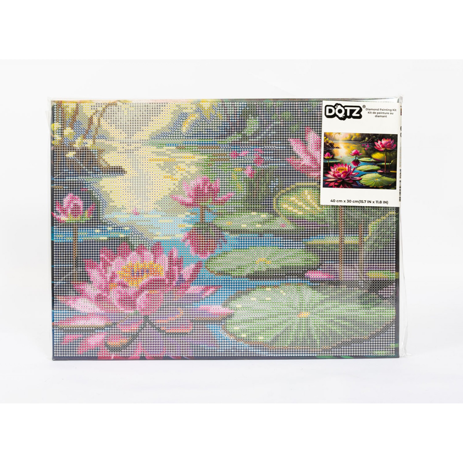 Lilly Lagoon