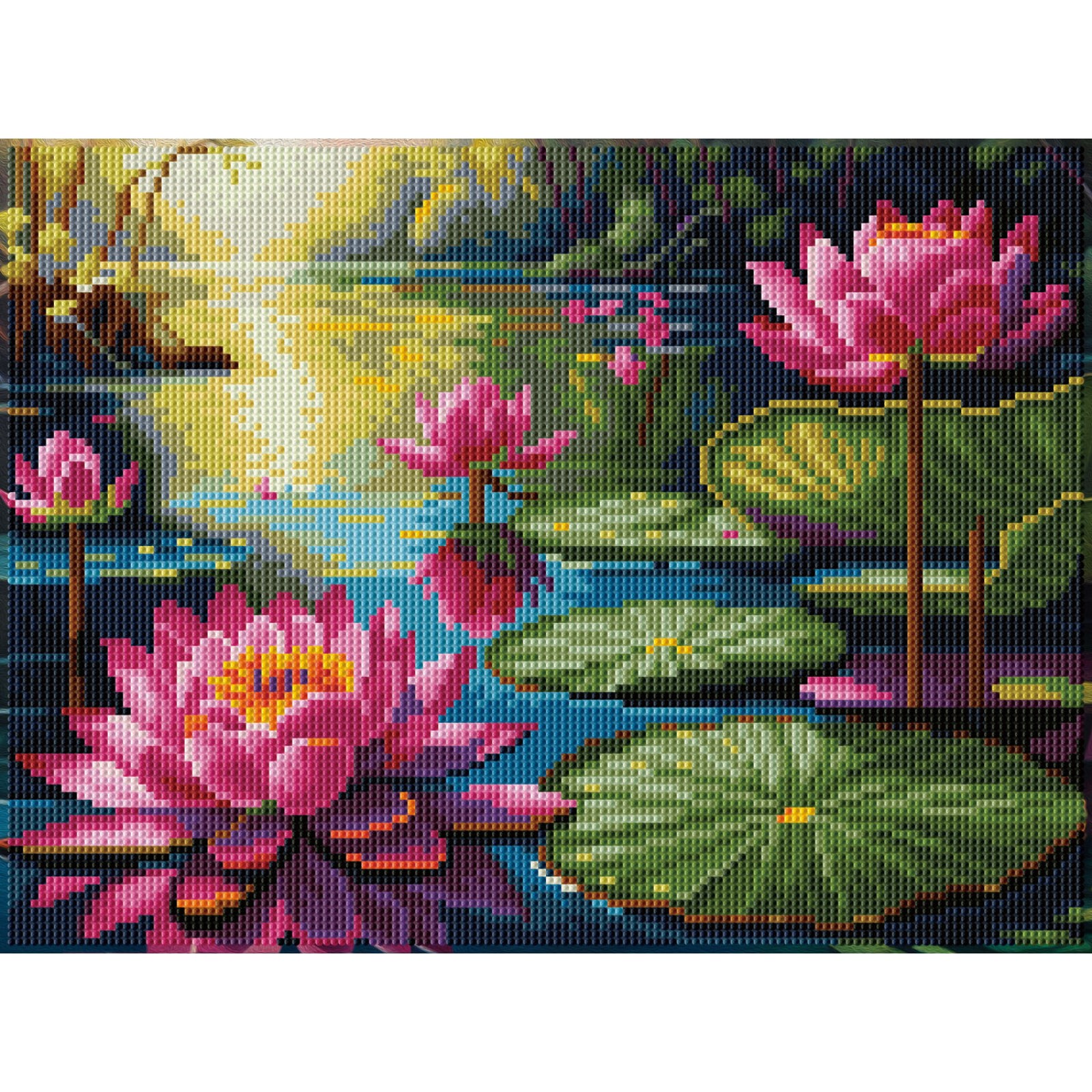 Lilly Lagoon