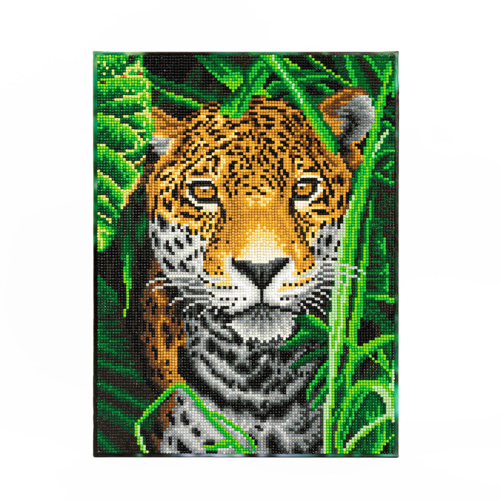 Jaguar Jungle