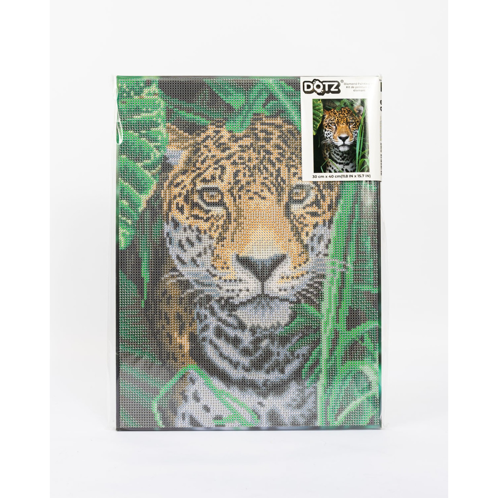 Jaguar Jungle