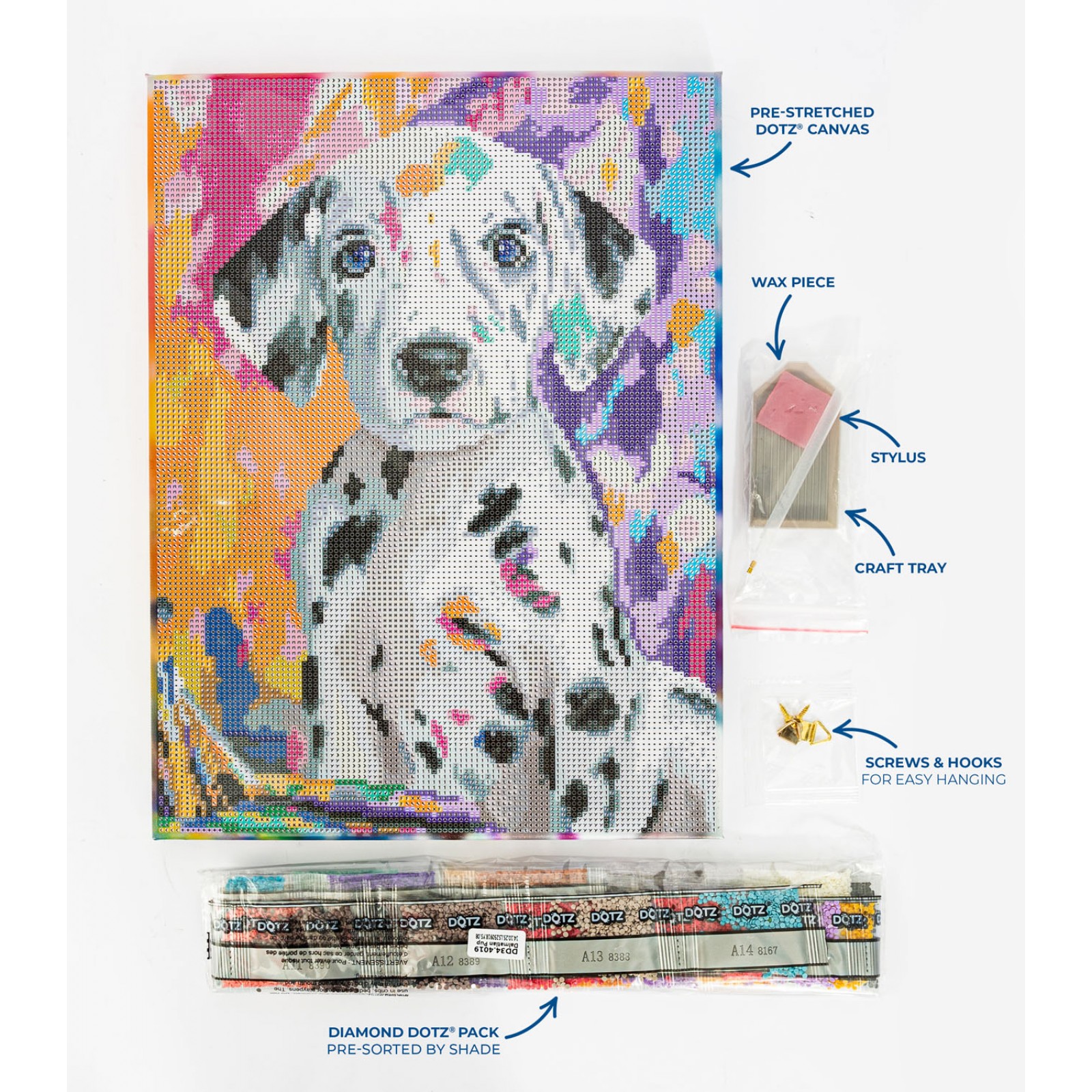 Dalmatian Pup