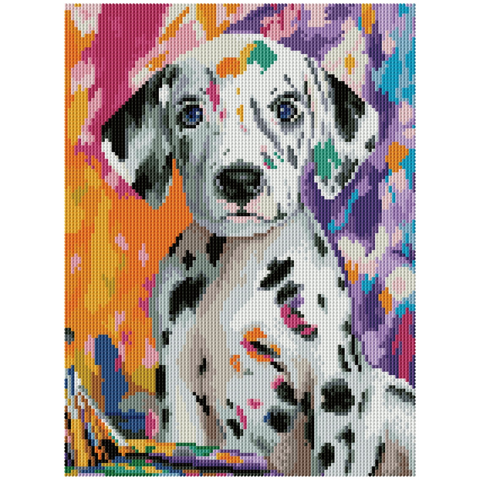 Dalmatian Pup