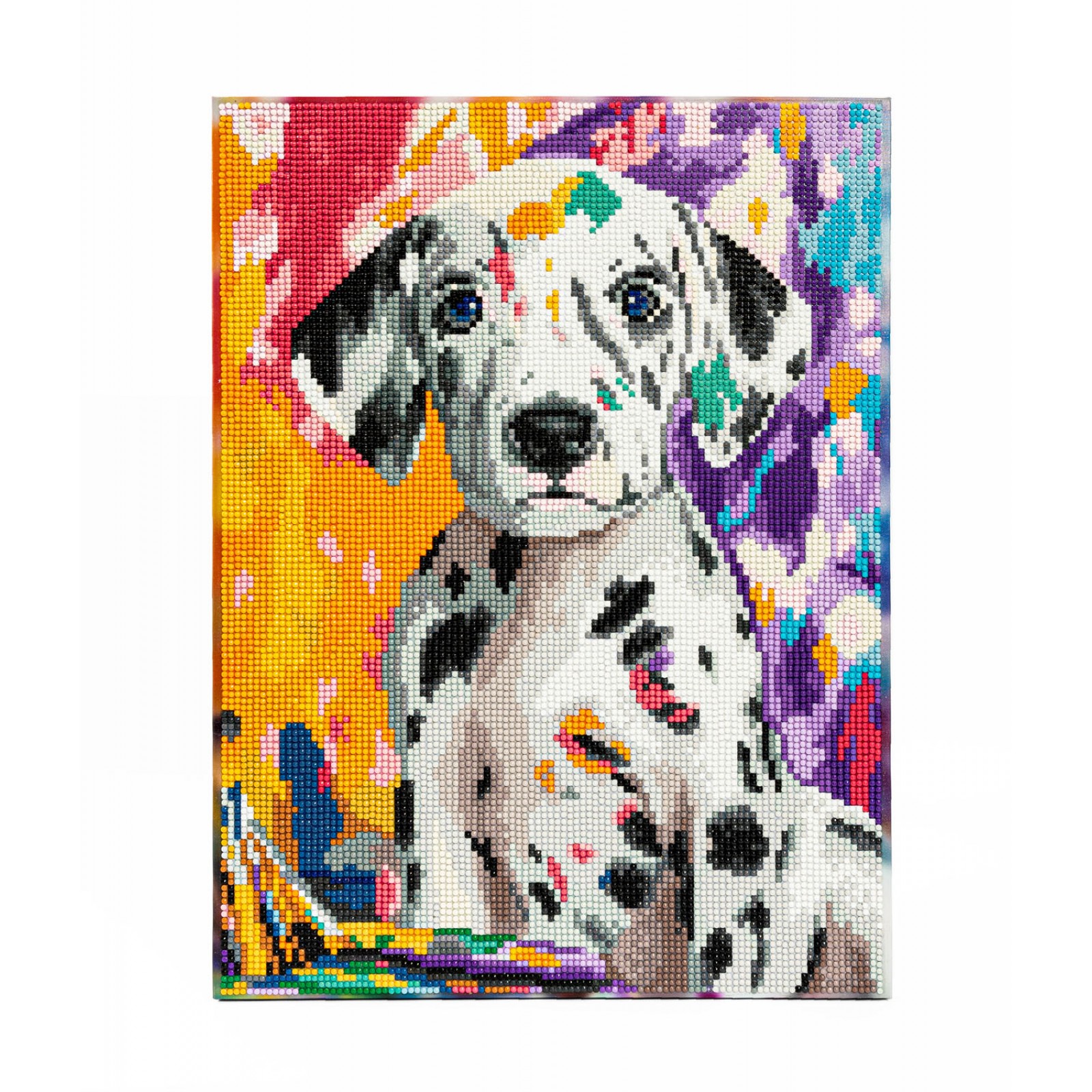 Dalmatian Pup