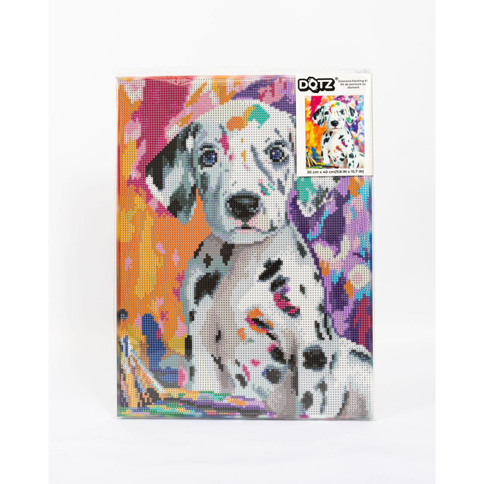 Dalmatian Pup