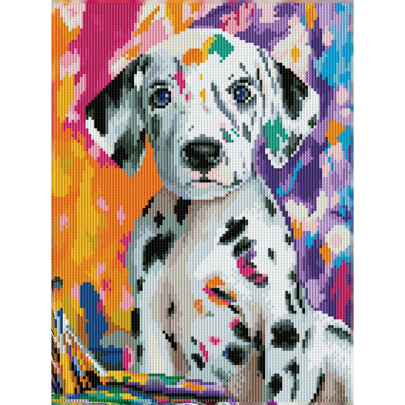 Dalmatian Pup