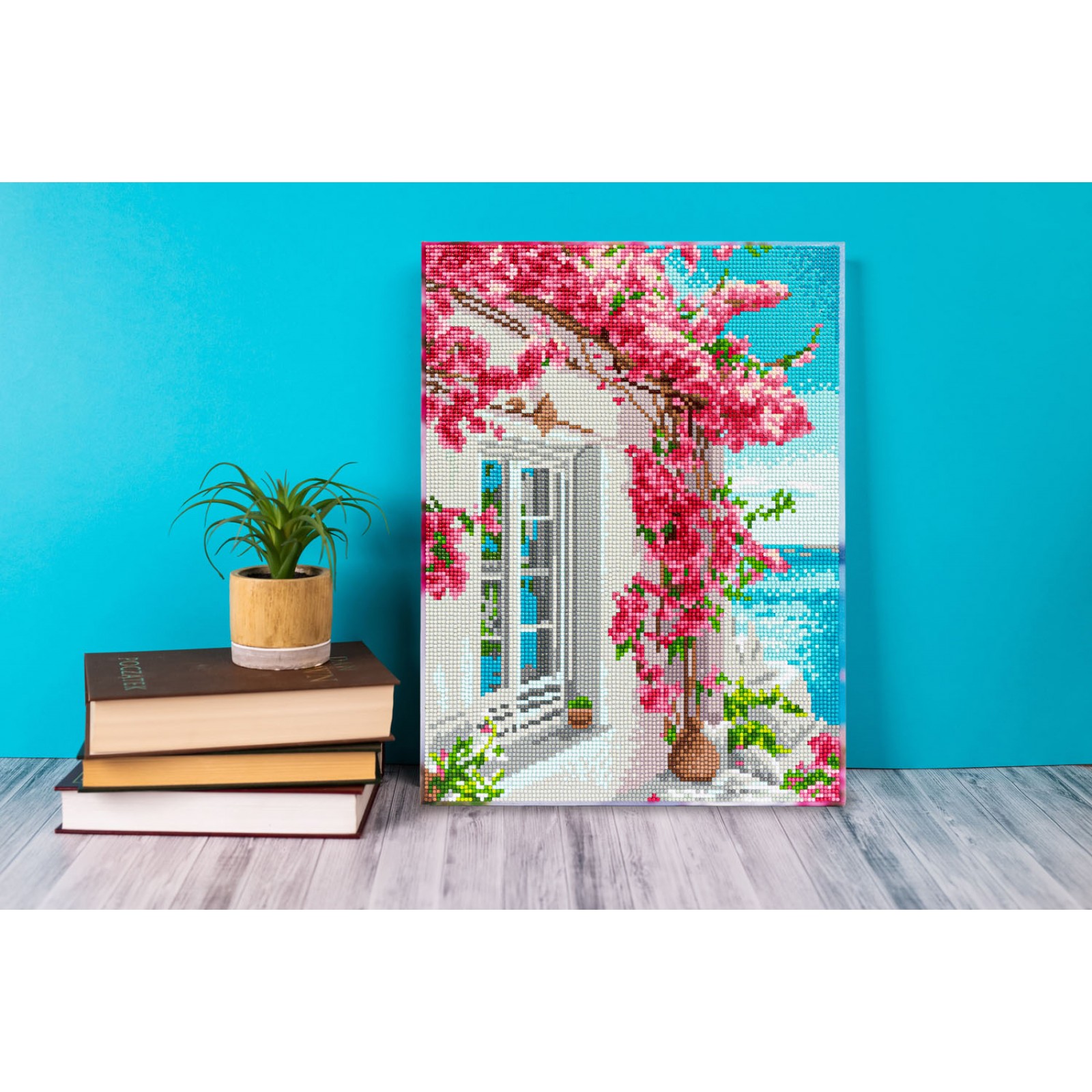 Bougainvillea