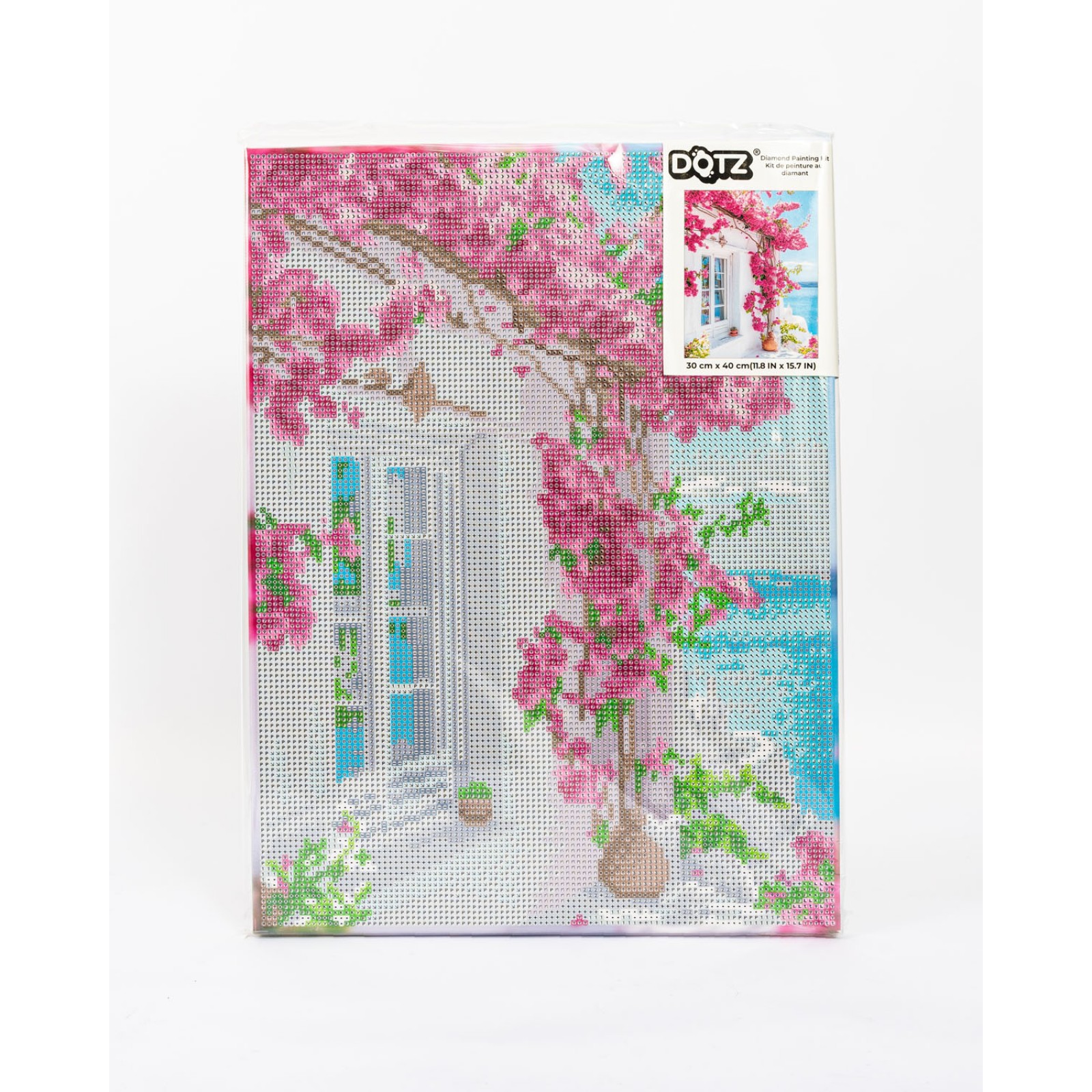 Bougainvillea