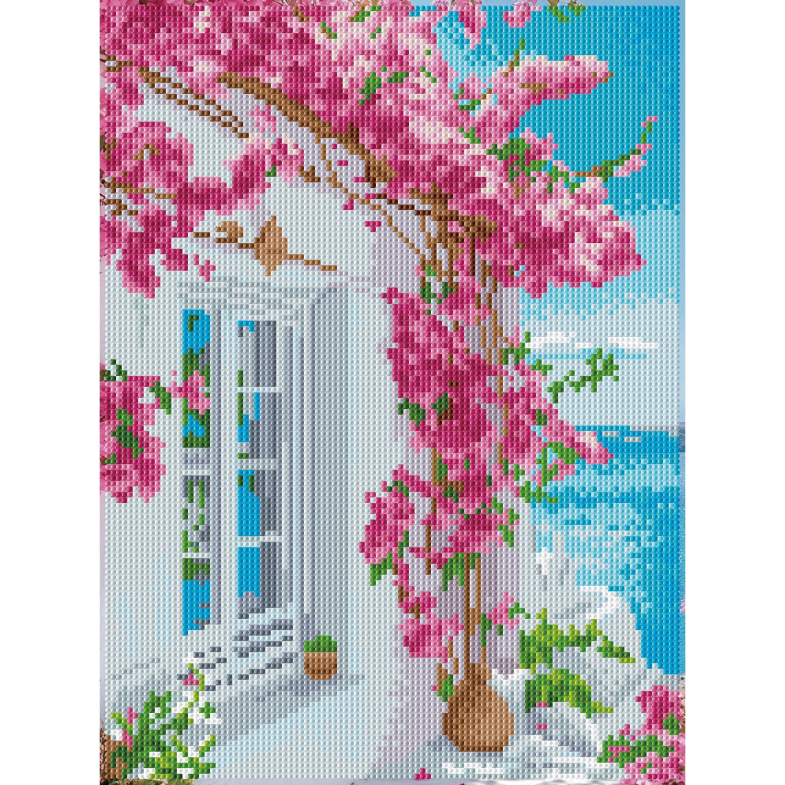 Bougainvillea