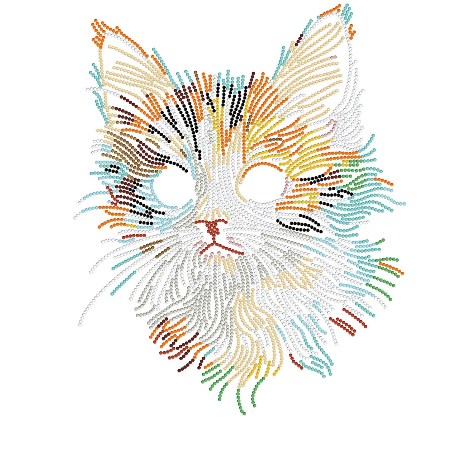 Young Kitten