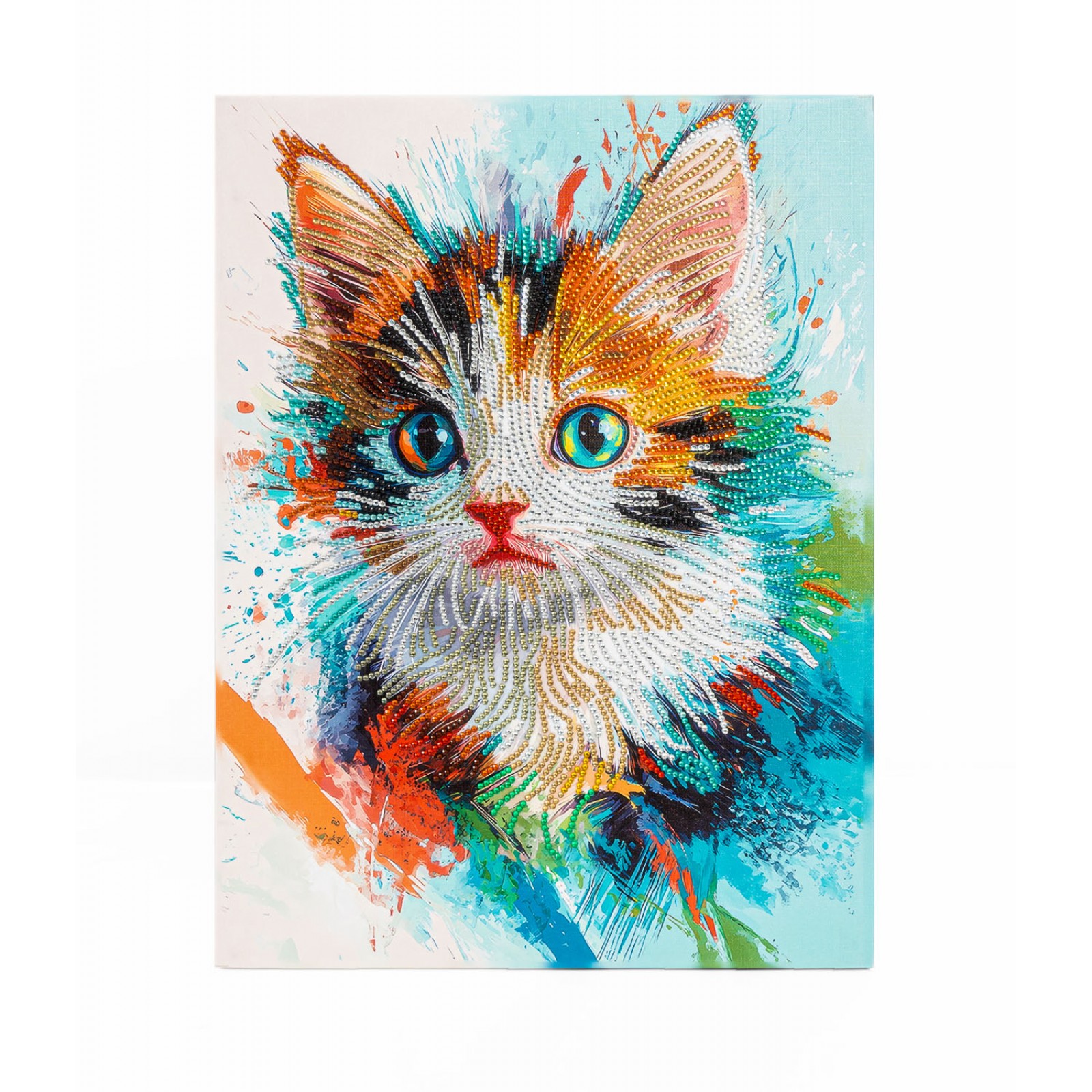 Young Kitten