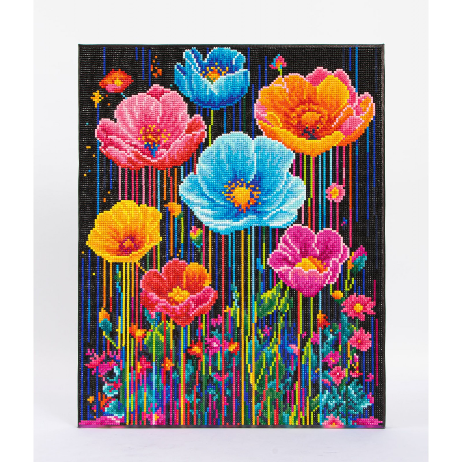 Colorful Poppies