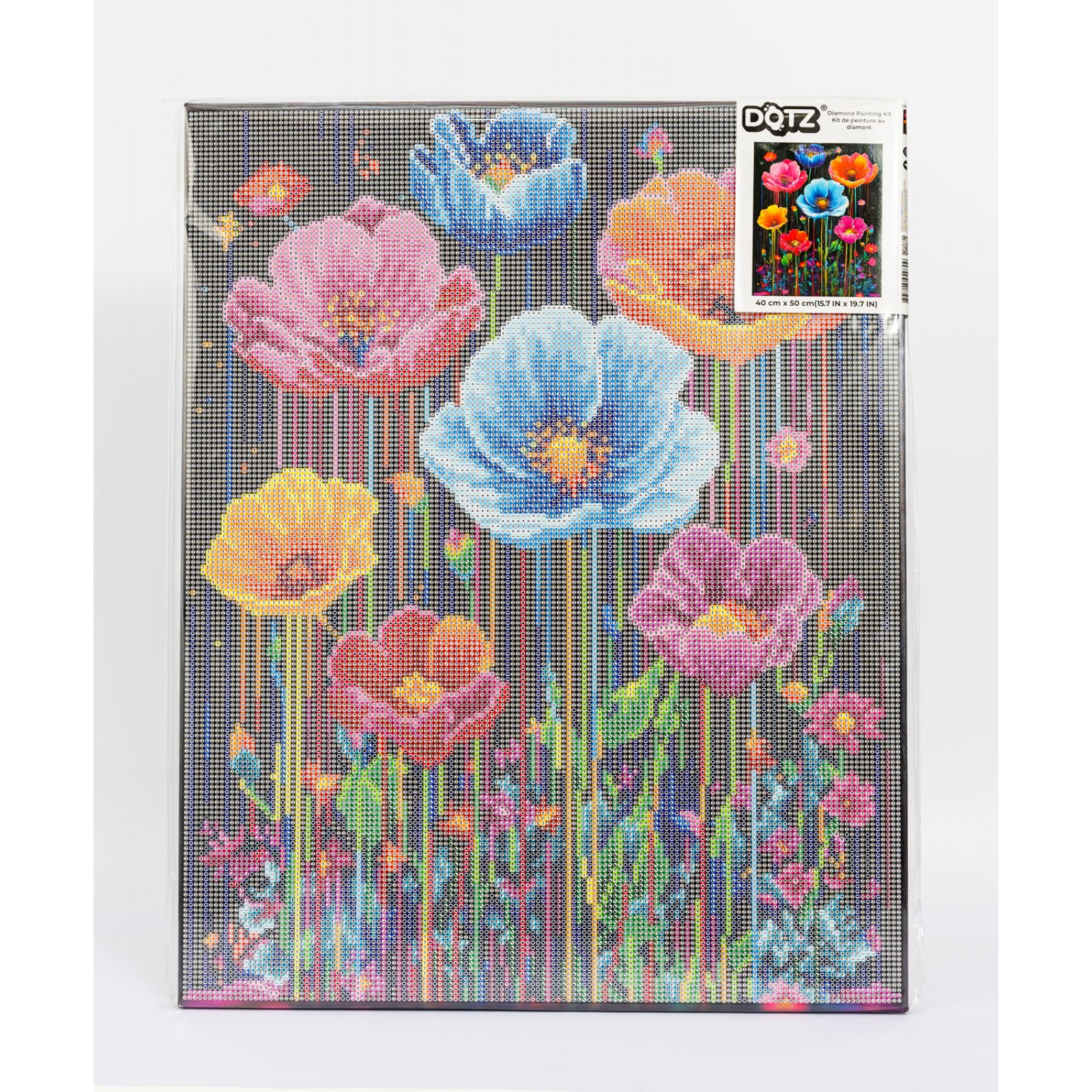 Colorful Poppies