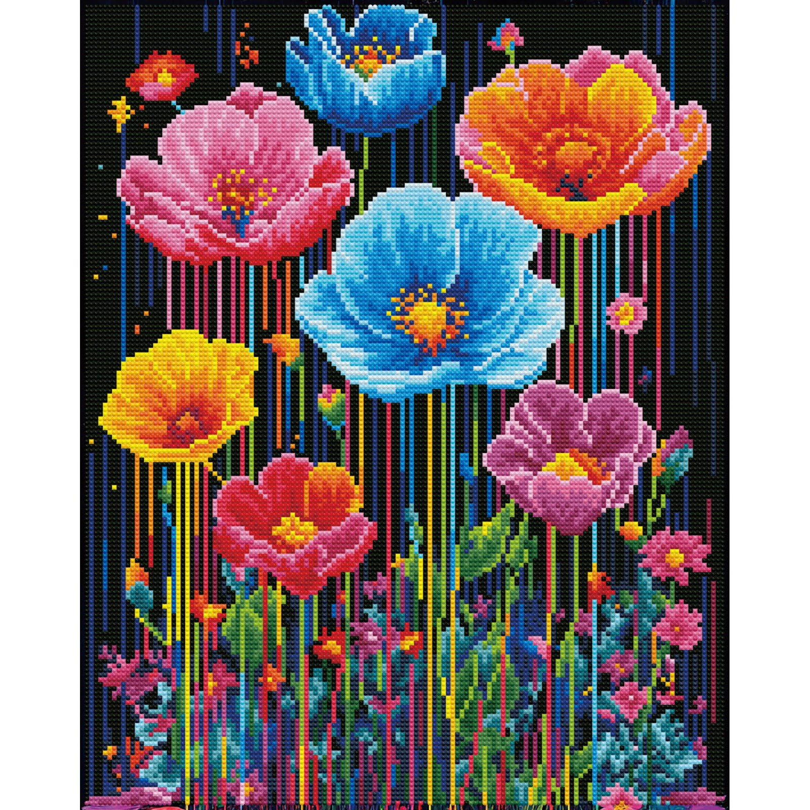 Colorful Poppies