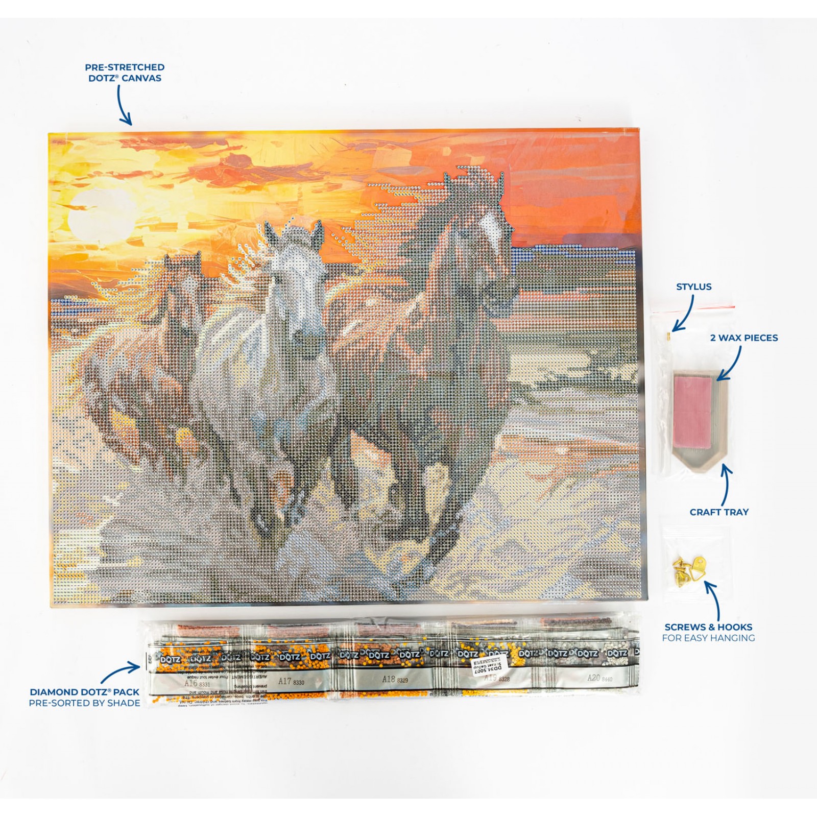 Sunset Gallop