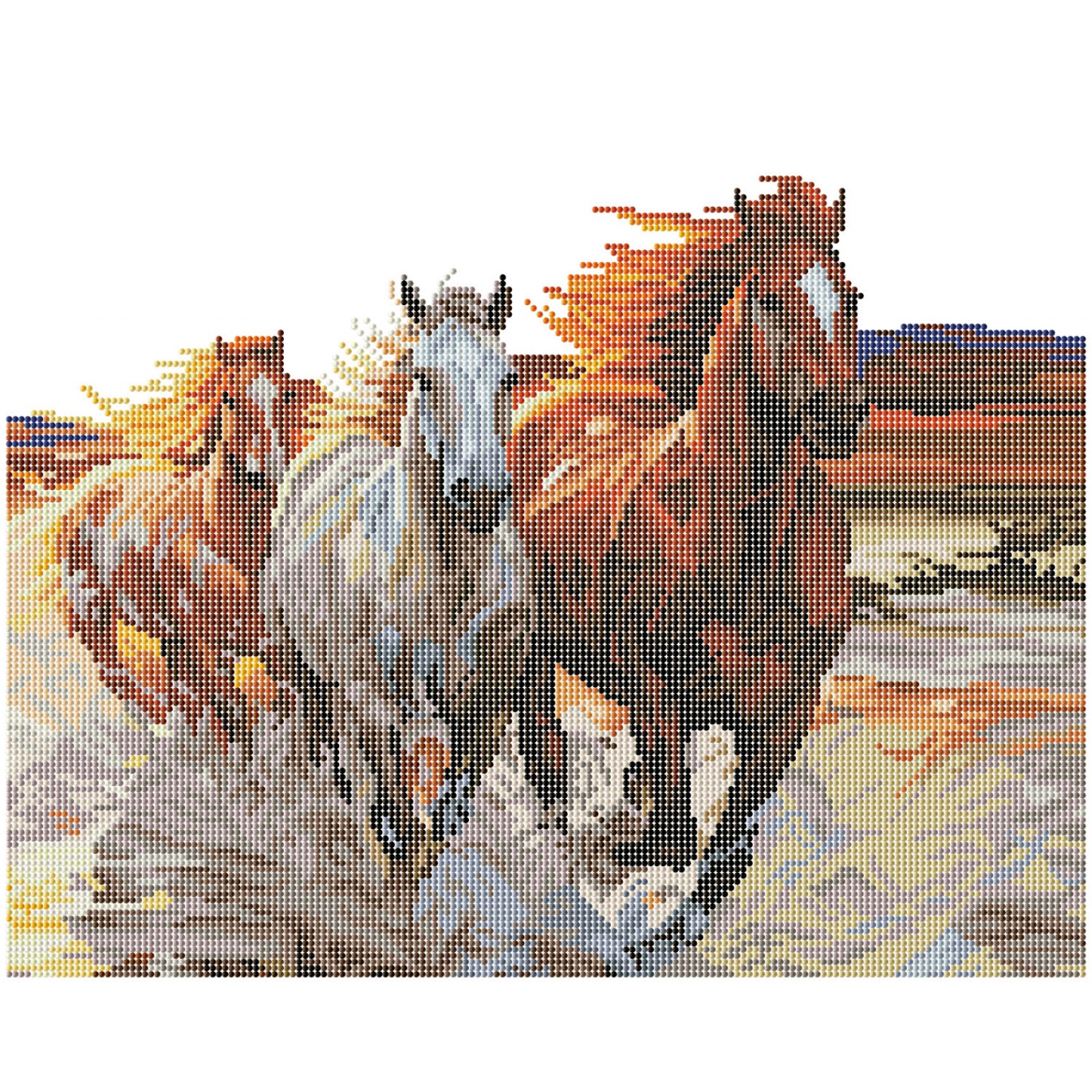 Sunset Gallop