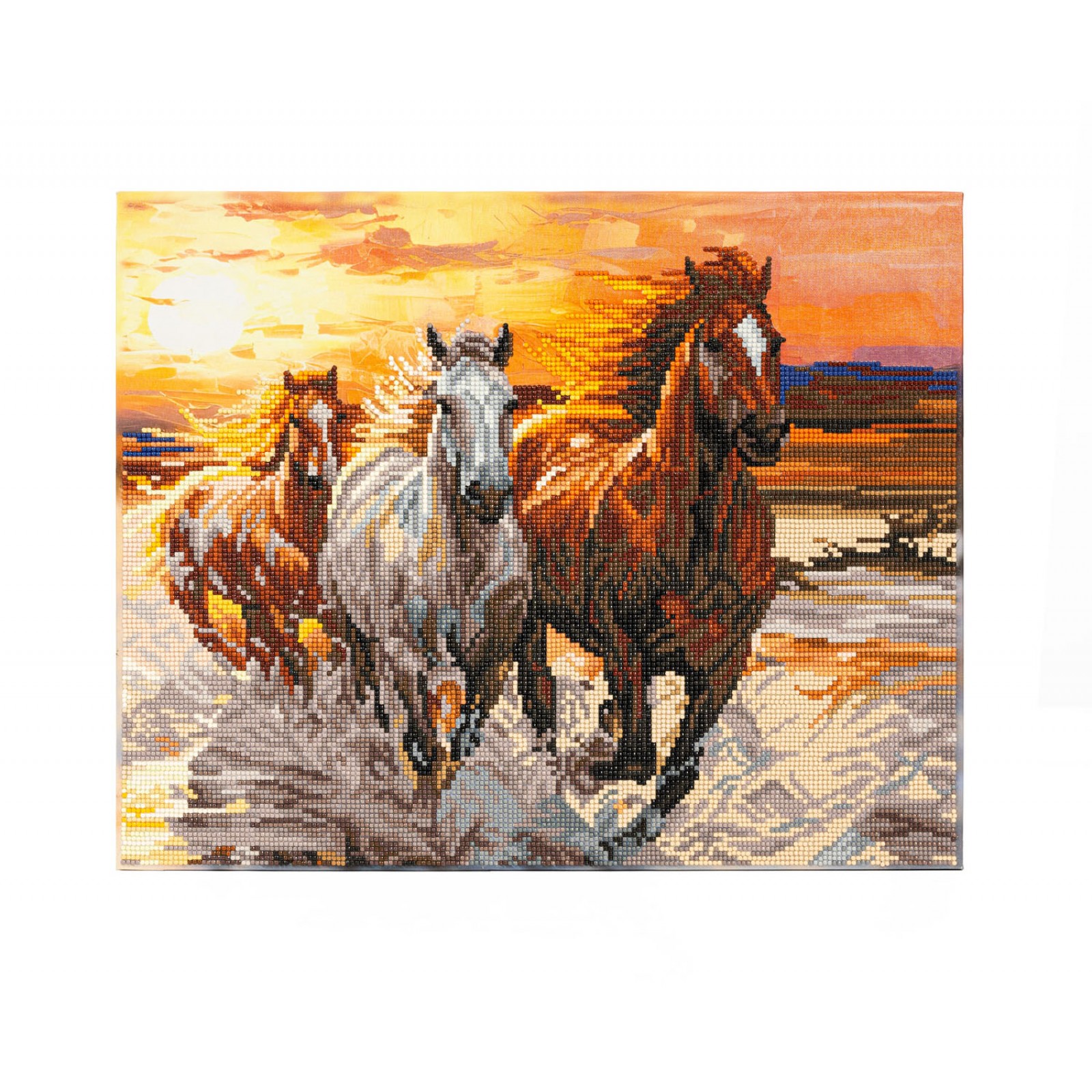 Sunset Gallop