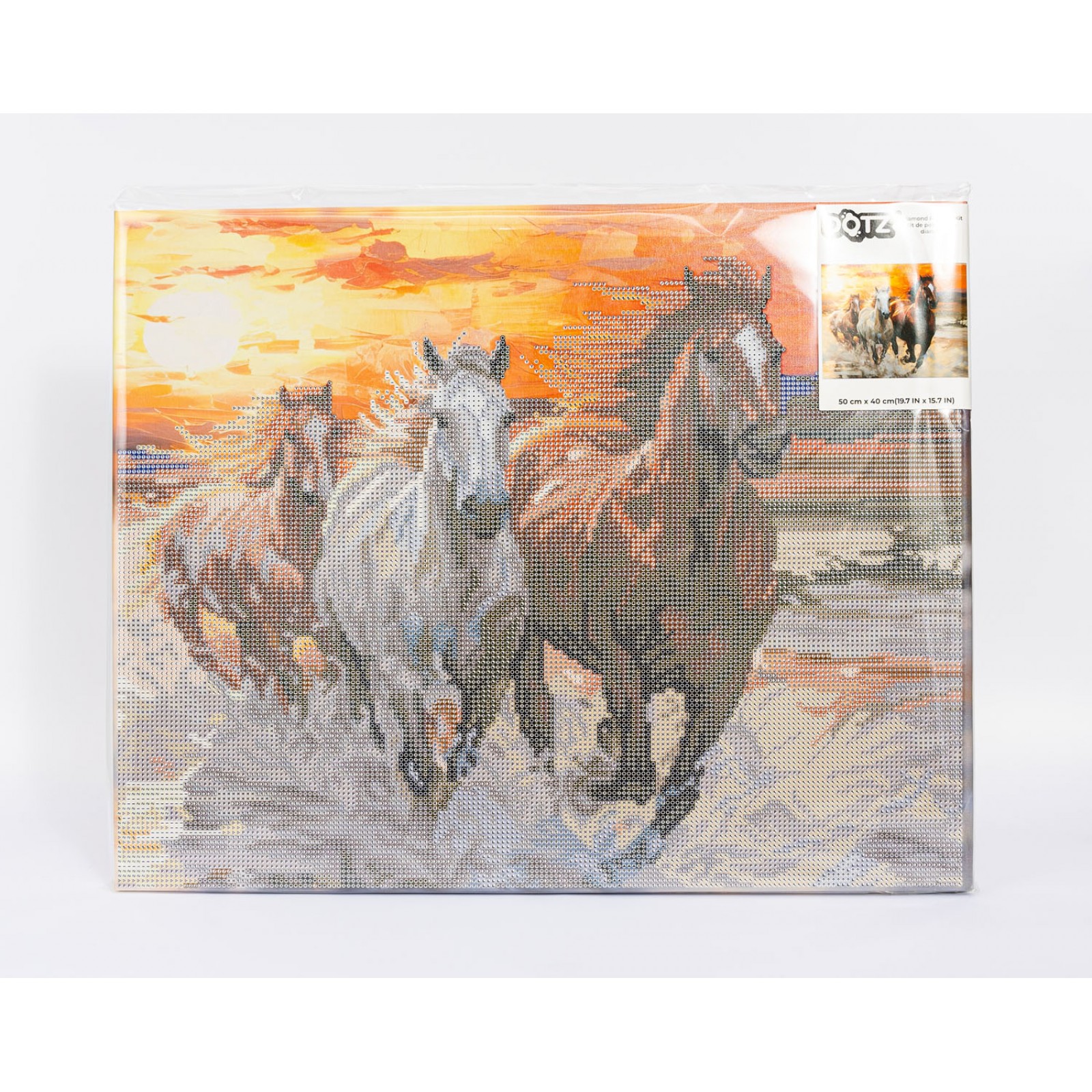 Sunset Gallop