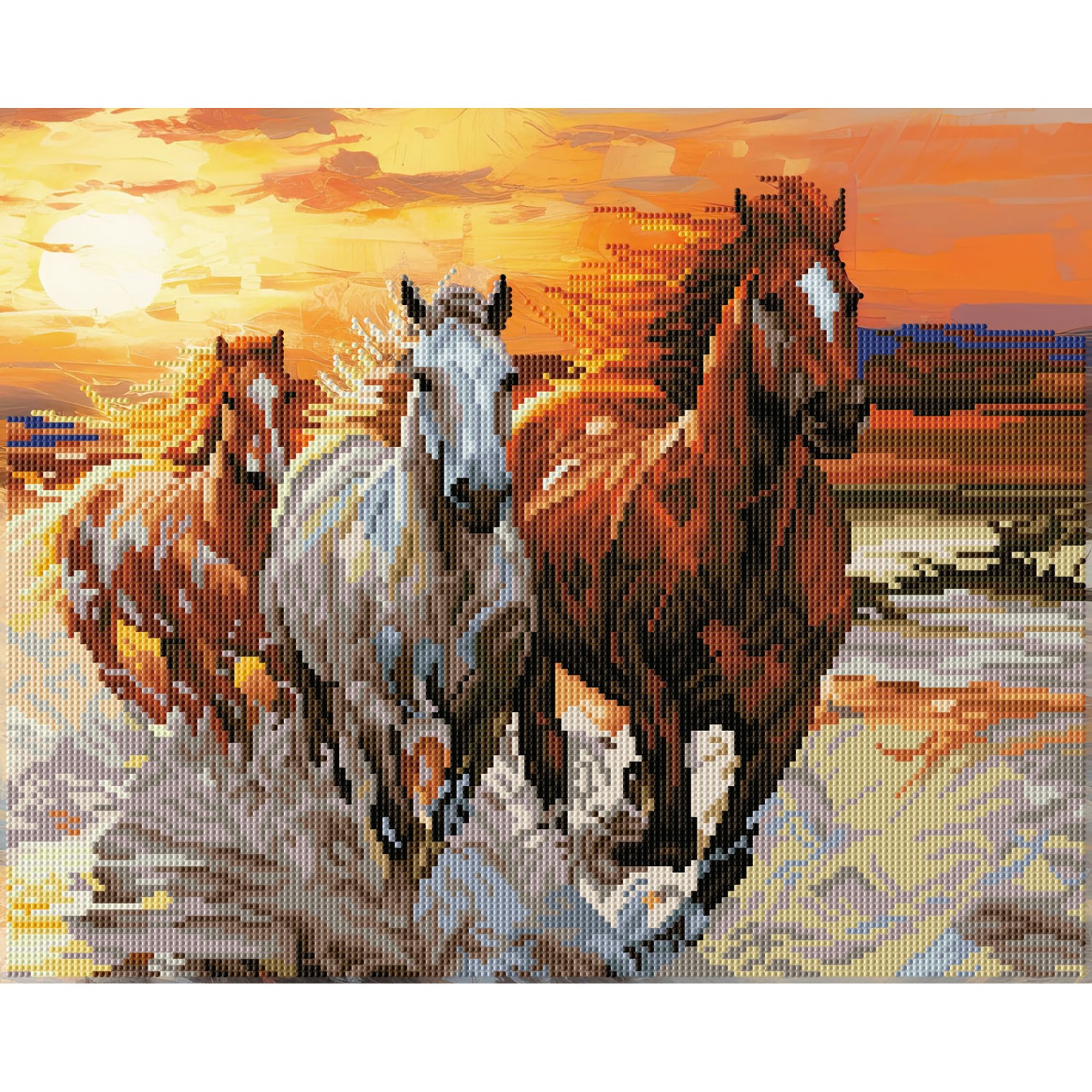 Sunset Gallop