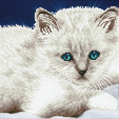WHITE CAT