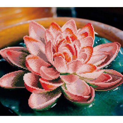 LOTUS