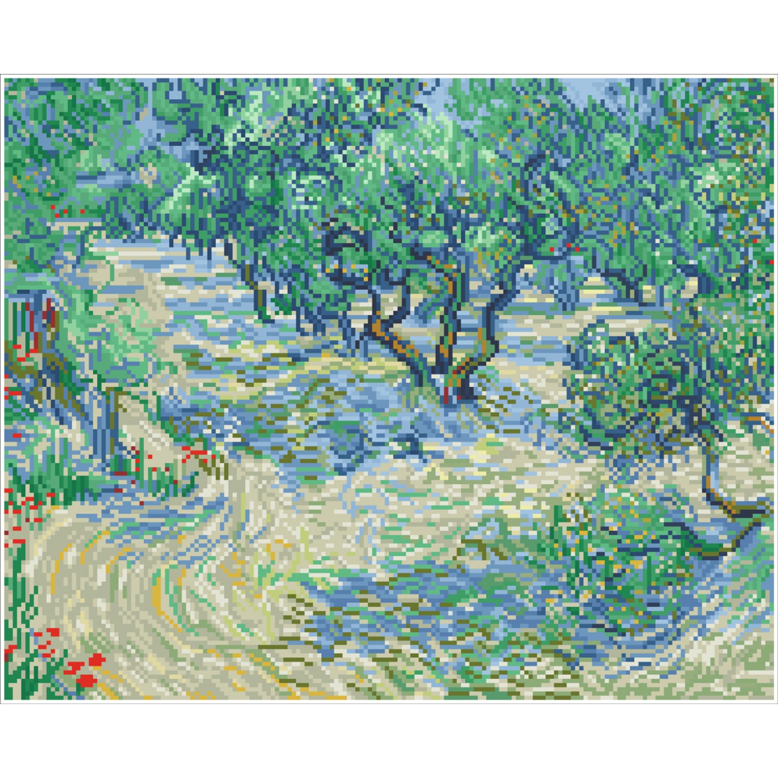 Olive Orchard