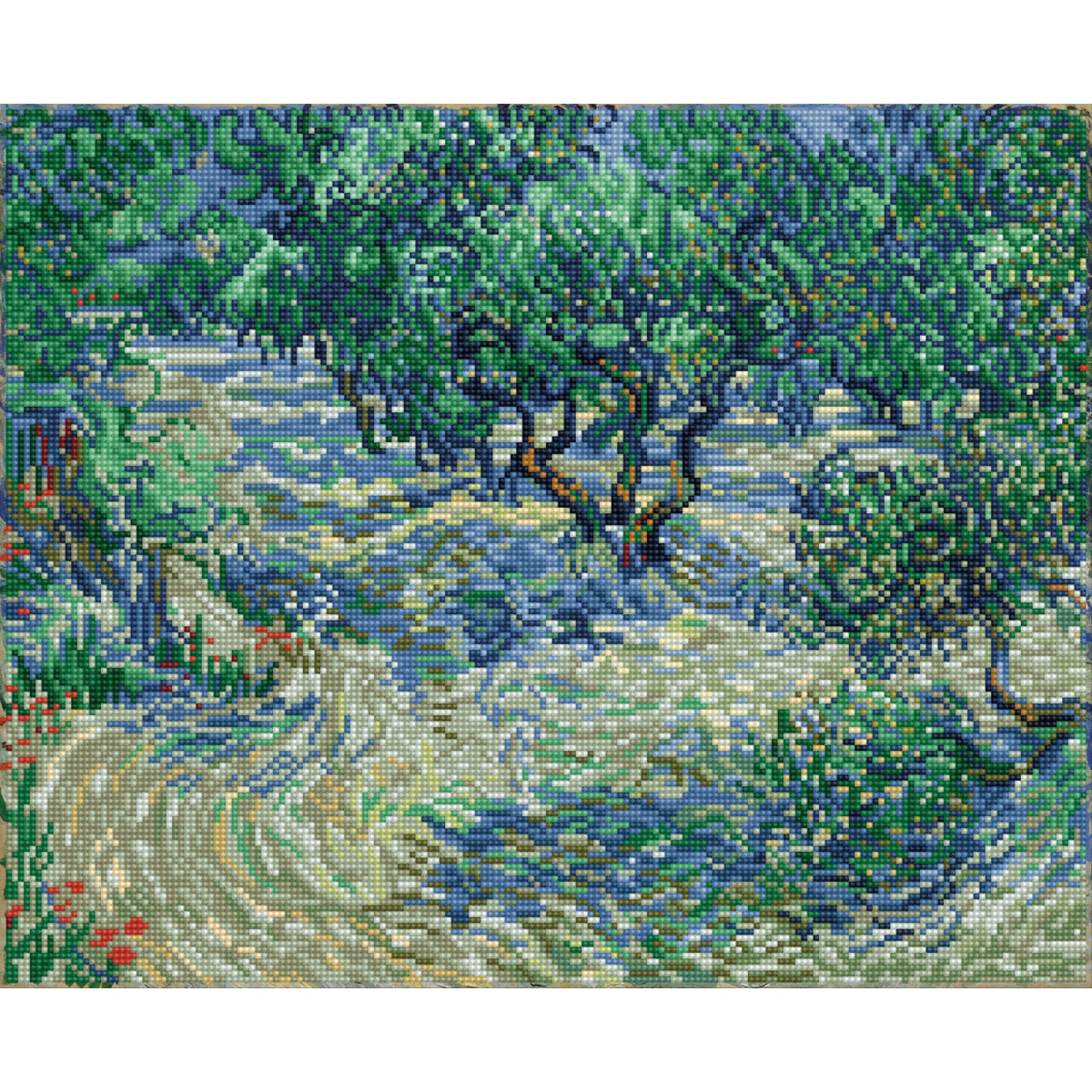 Olive Orchard
