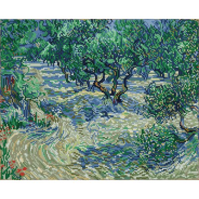 Olive Orchard