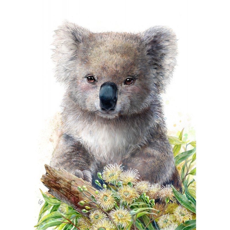 Koala & Eucalypus Blossom - Diamond Art Kit - DD10.055 - Diamond Dotz®