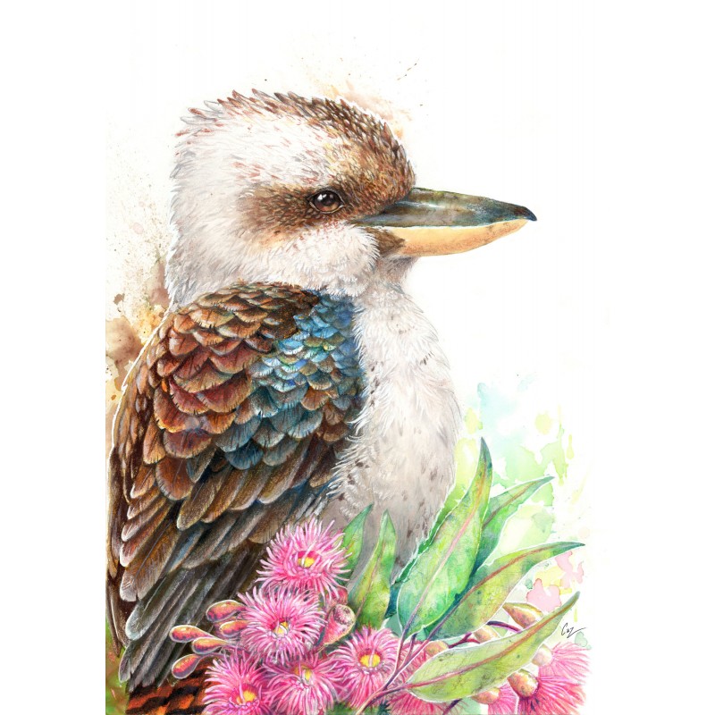 Kookaburra & Gum Blossom