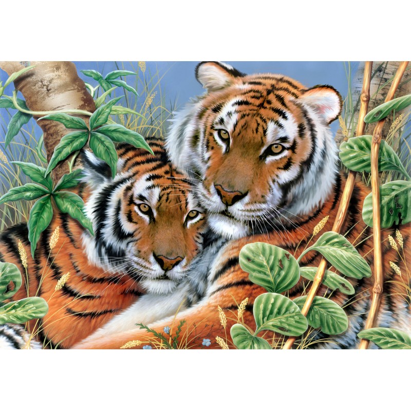 Tender Tigers