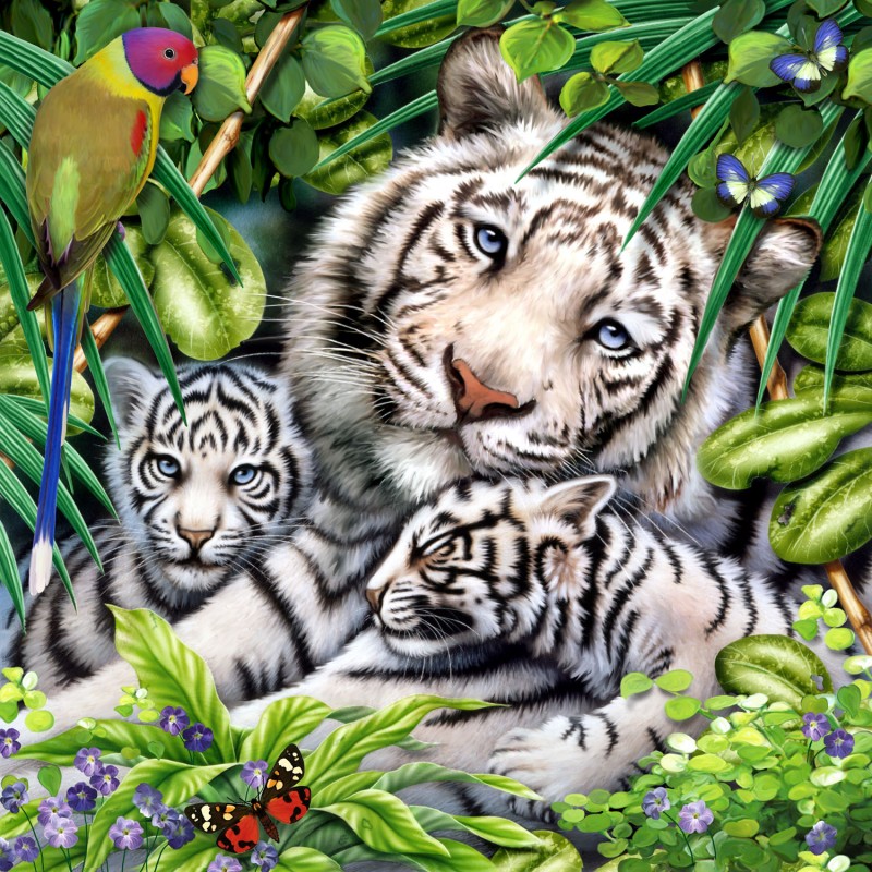 White Tiger & Cubs