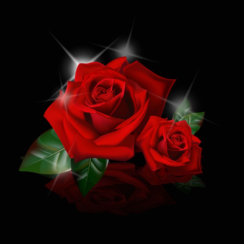 Red Rose Sparkle