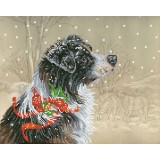 Christmas Collie