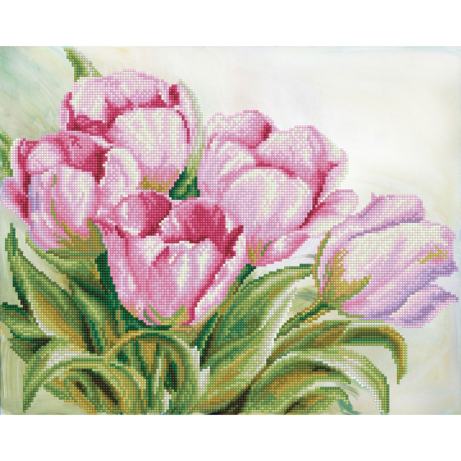 Tulip Swathe