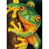 Green Tree Frog