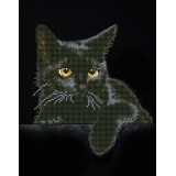 Midnight Cat with Frame