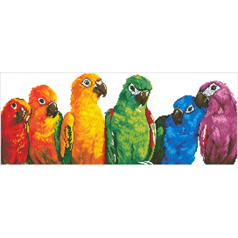 Rainbow Parrots