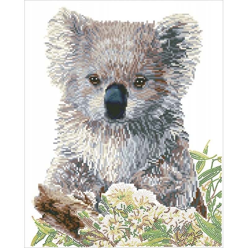 Koala & Eucalypus Blossom