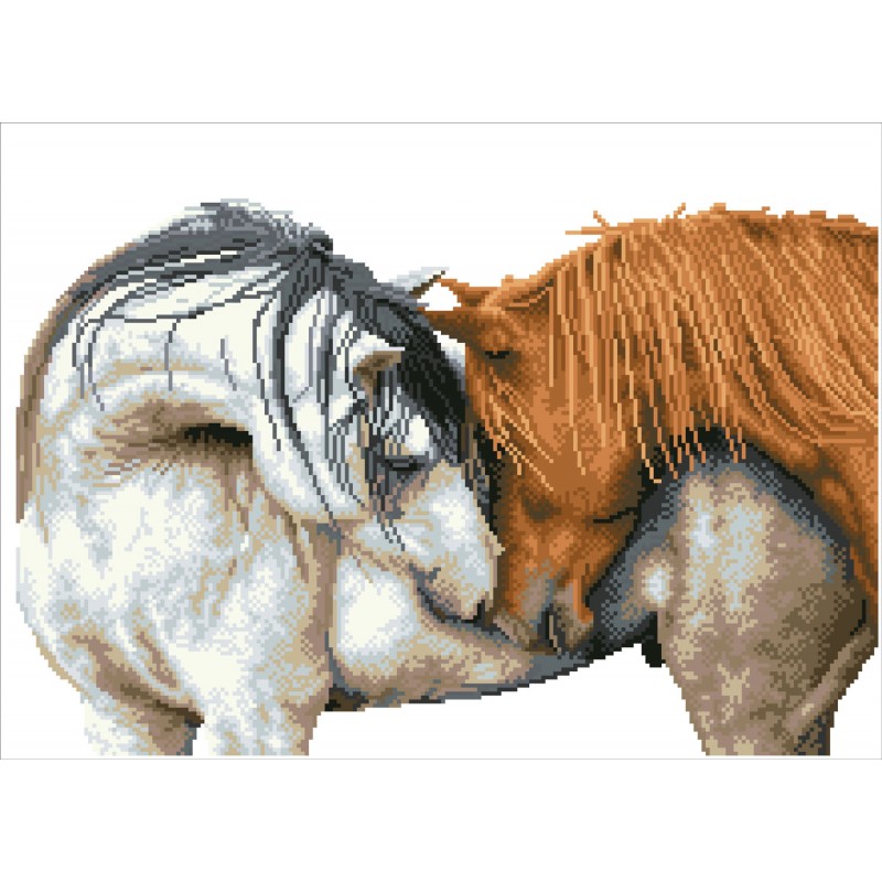 Courtship