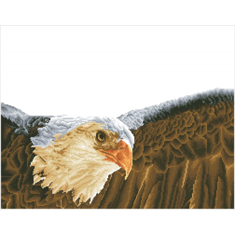 Bald Eagle & Flag