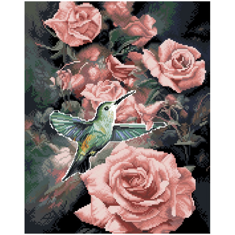 Roses & Hummingbird