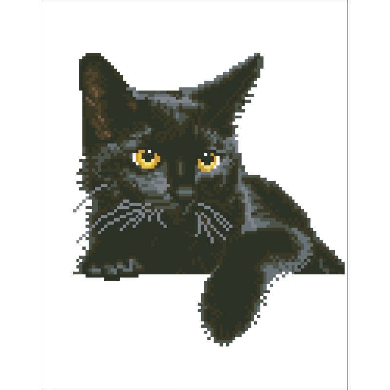 Midnight Cat with Frame