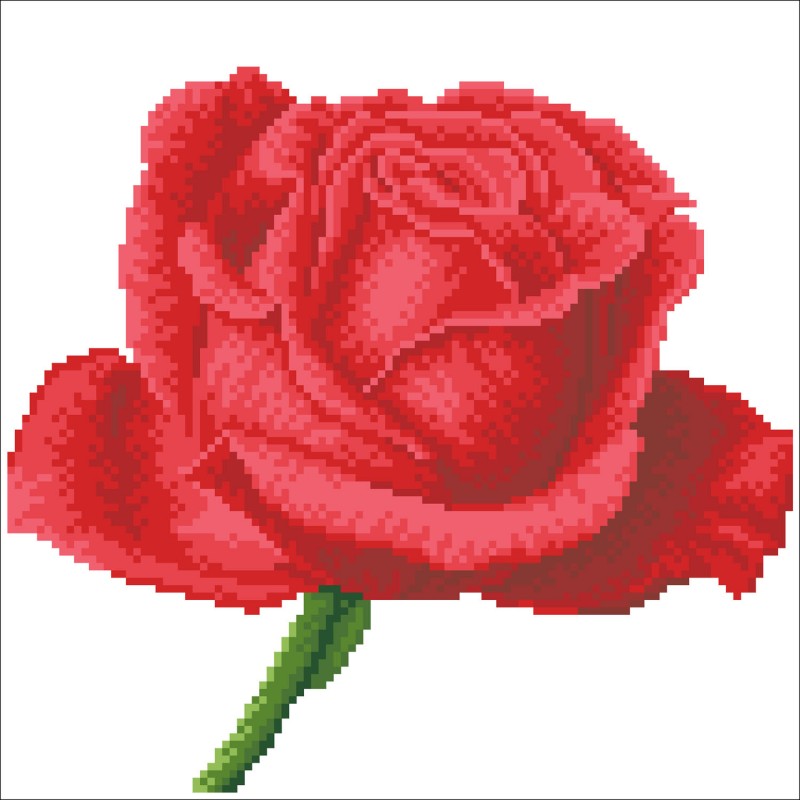 Rose Bud with Frame