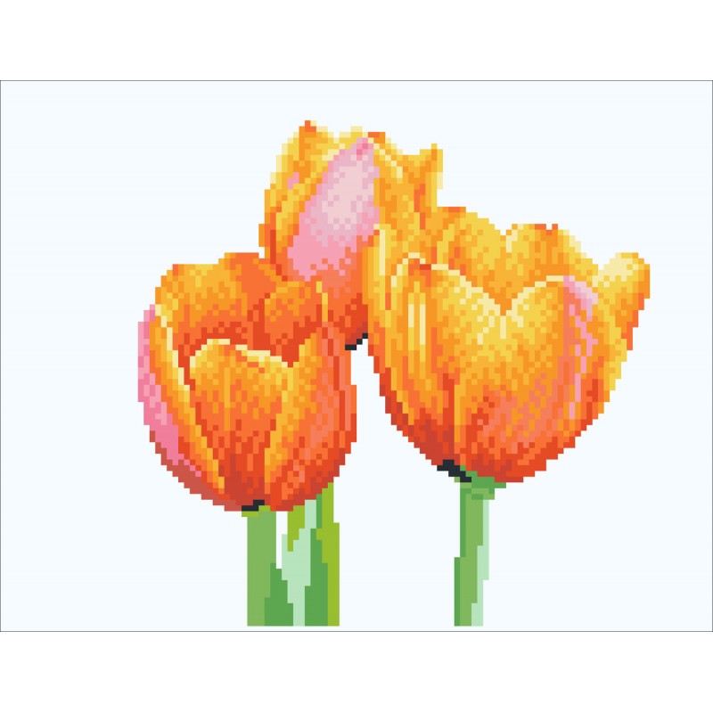 Love Tulips