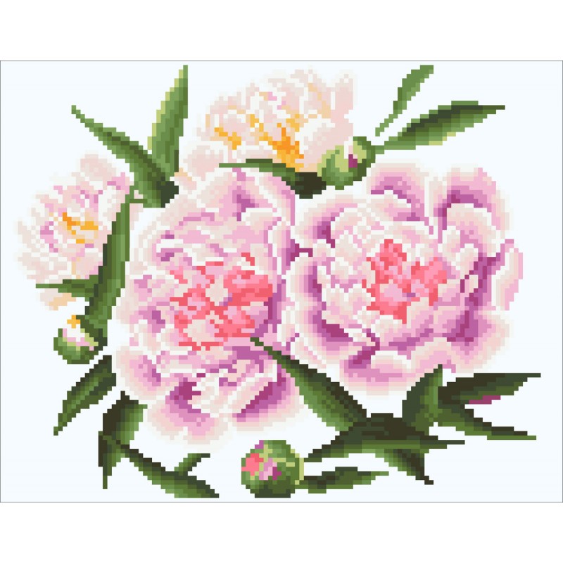 Romantic Pink Peonies